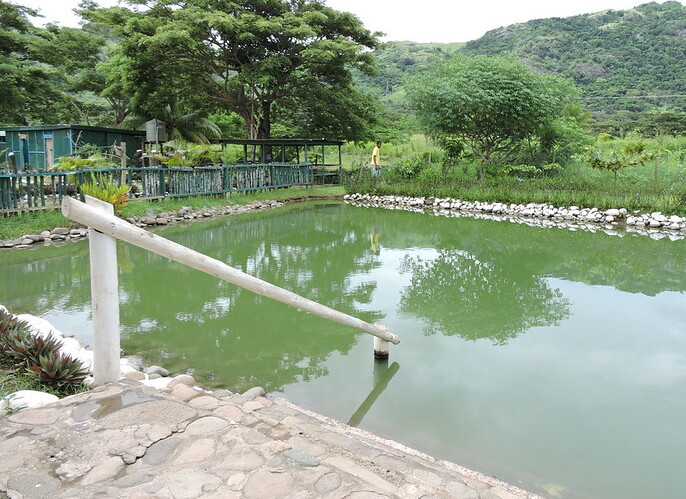 薩貝托SEBETO MUD POOL